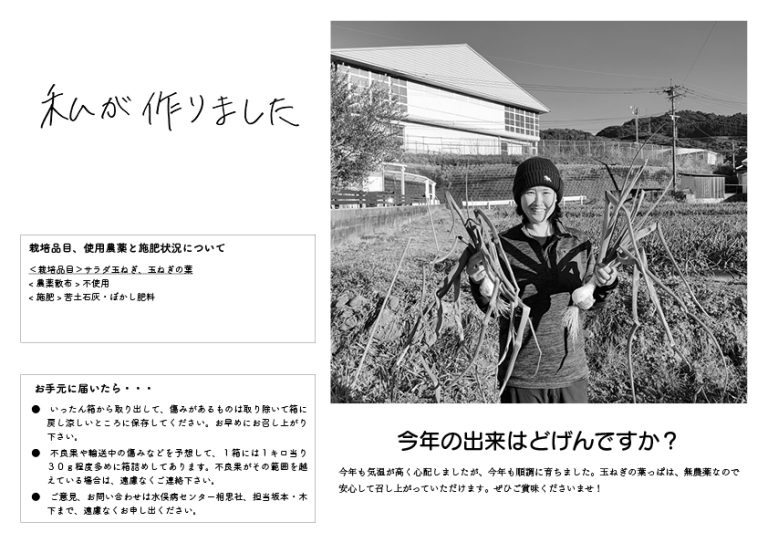 サラダ玉ねぎ　１０Kg - 画像 (3)